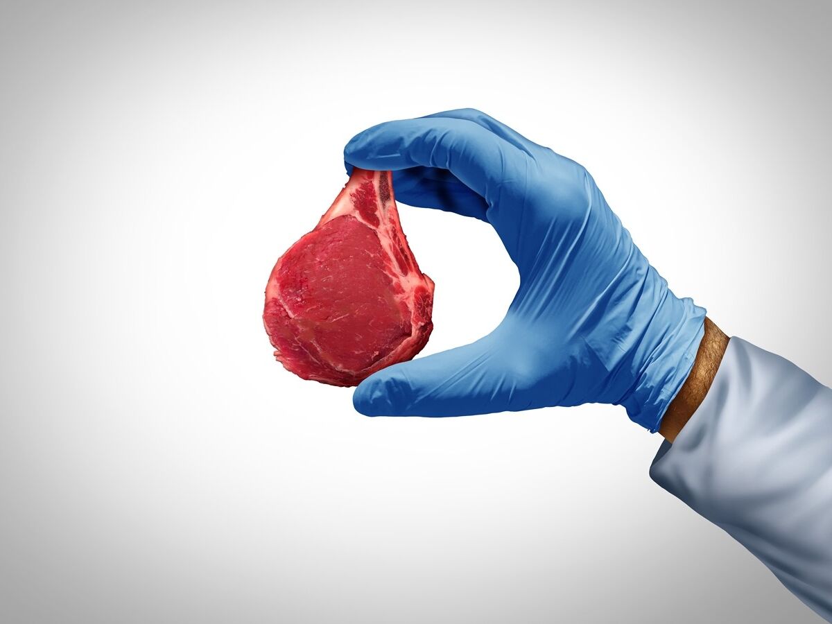 Esta carne é de laboratório