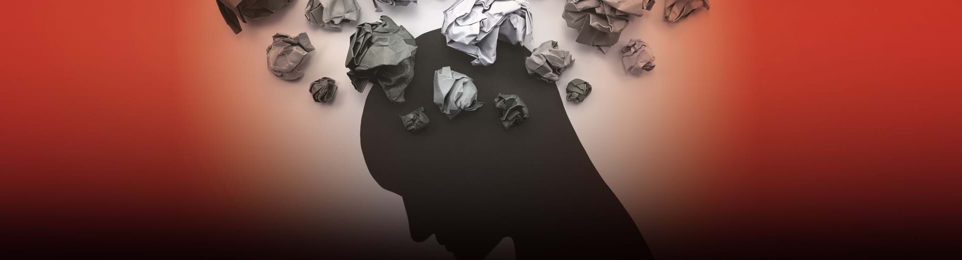 23 a 29 de janeiro de 2025 