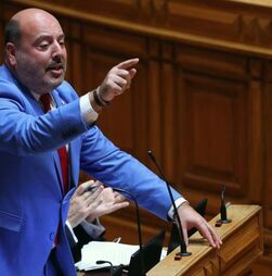 Mau tempo: Chega questiona Governo sobre apoios a produtores pecuários