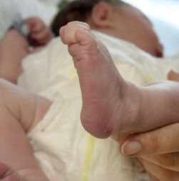 Parentalidade. As mudanças ao código do trabalho que 'prejudicam as famílias'