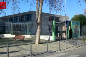Sete jovens feridos em rixa com armas brancas junto a escola de Lisboa