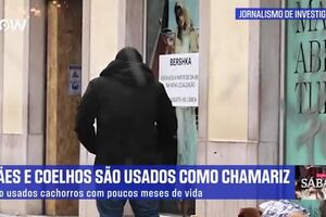 reporter sabado 18 jan.mp4