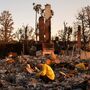 Sobe para 16 o número de mortos devido a incêndios florestais em Los Angeles