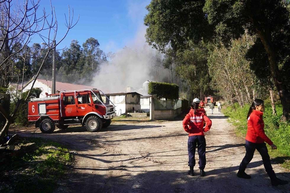 No fogo de Portugal