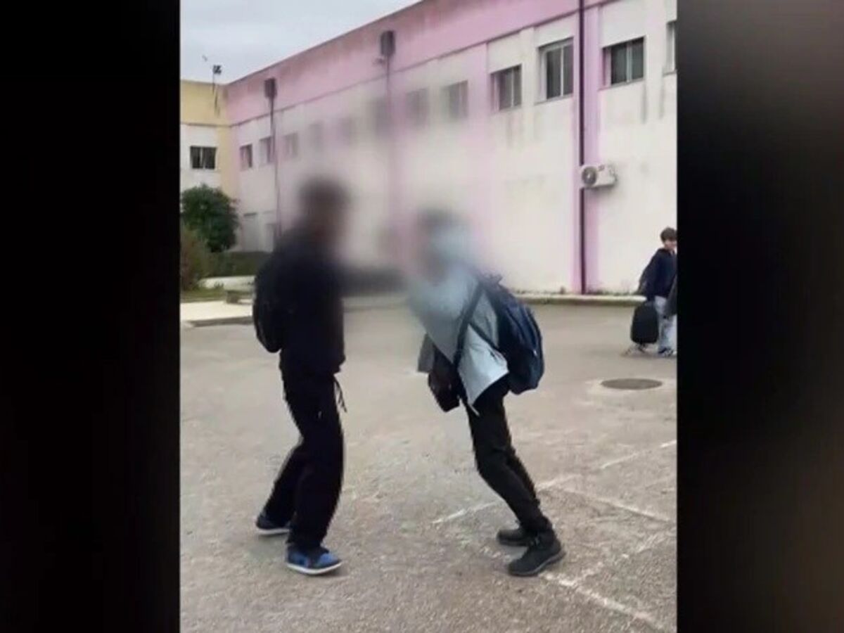 Pontapés, socos e empurrões são diários nas escolas