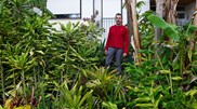 <![CDATA[ Jardins de Plantas Doadas devolvem beleza a canteiros vazios de Lisboa ]]>