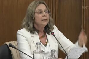Ministra da Saúde alerta para a falta de médicos de família e o aumento de doentes estrangeiros sem cobertura