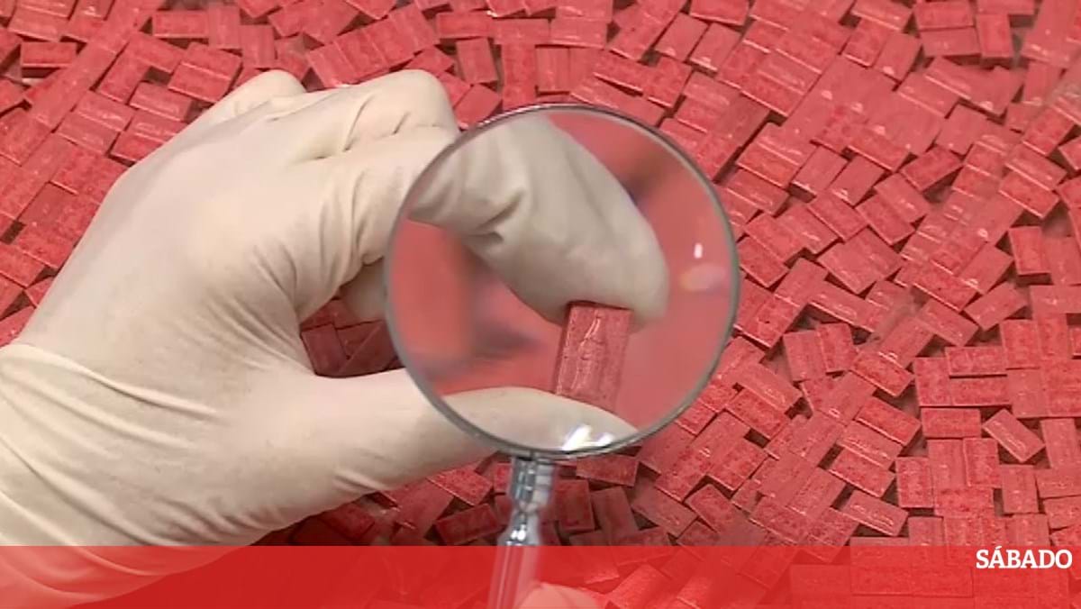 <![CDATA[ Apreensão de ecstasy em Portugal atinge números alarmantes em 2024 ]]>