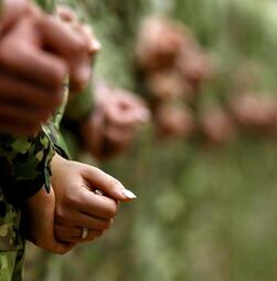 Mau tempo. Forças Armadas reforçam dispositivo no terreno com mais de 1.000 militares