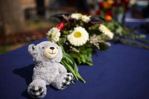 peluches e flores- macedónia