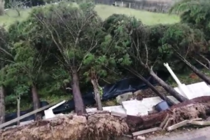 Imagens impressionantes mostram árvores arrancadas pela raiz em Fernão Ferro devido à força do vento