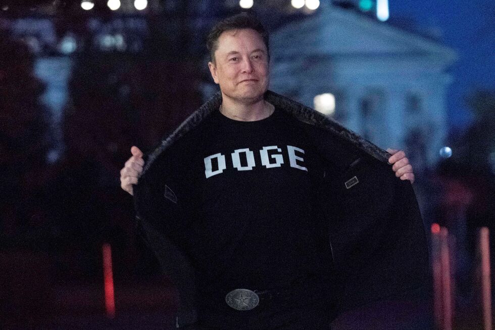 Elon Musk DOGE