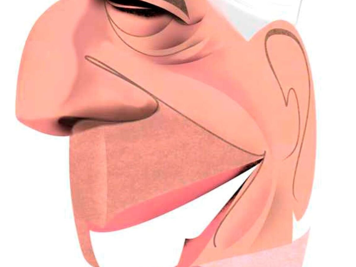 As muitas voltas da vida de Mario Vargas Llosa (1936-2025)