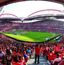 LC: Benfica defronta Fenerbahçe ou Feyenoord se passar ao play-off