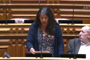 Paula Santos: "Qual é a razão para se estar a importar 30% da nossa energia quando se deu o apagão?"
