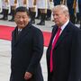 Trump e Xi Jinping 'vão provavelmente falar esta semana'