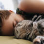 Dormir com o gato: sim ou não? Conheça aqui as vantagens mas também os principais cuidados