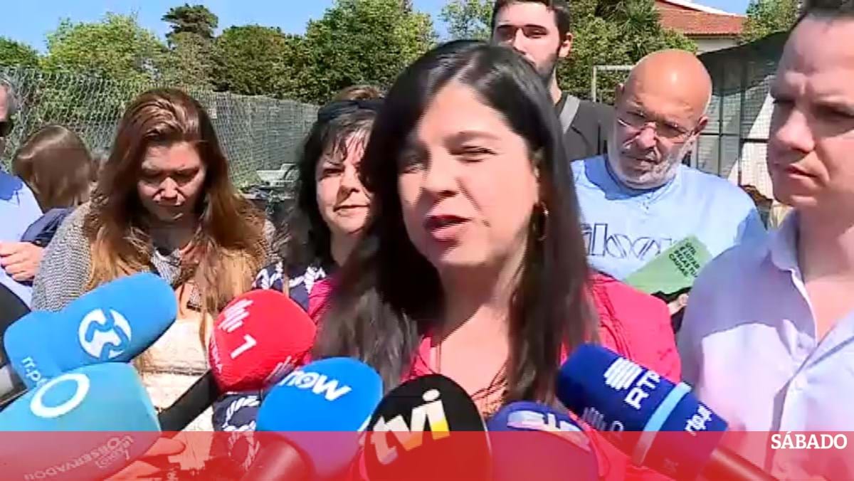 <![CDATA[ Inês de Sousa Real critica reunião de figuras do PSD: "Um regresso ao passado" ]]>