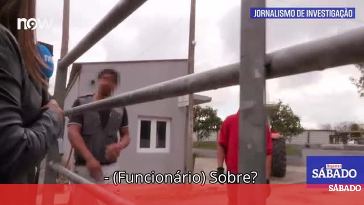 <![CDATA[ Crimes ambientais em Setúbal. Veja o Repórter SÁBADO na íntegra ]]>
