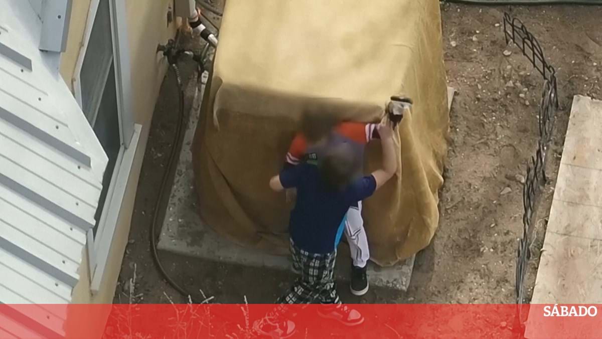 <![CDATA[ Polícias desarmam dois irmãos de 7 e 9 anos nos EUA ]]>