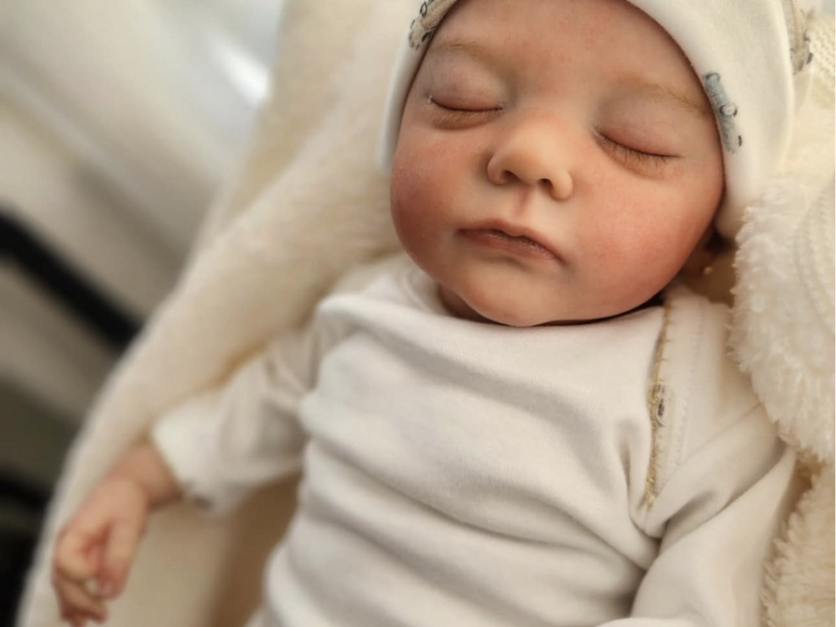 A febre dos bebés reborn