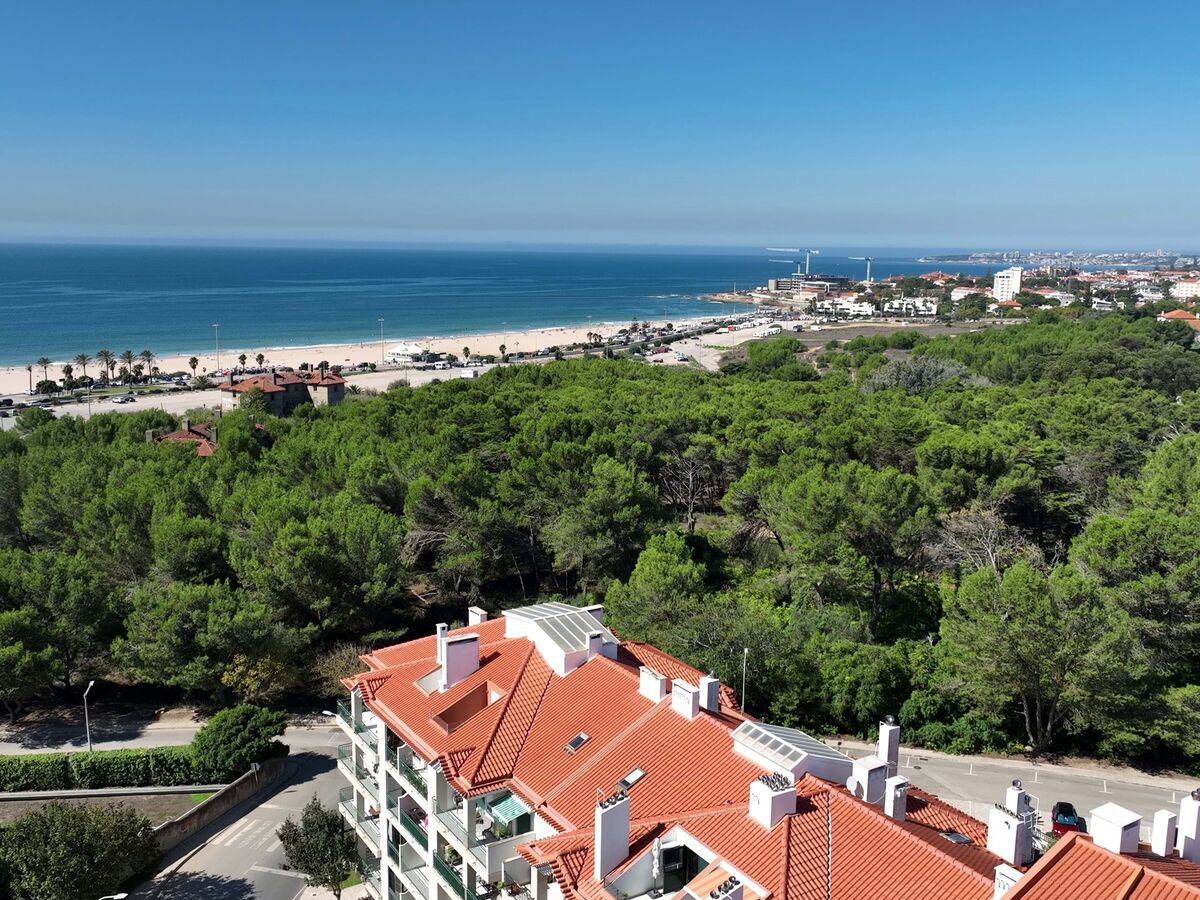 Cascais: Juiz que "autorizou" empreendimento foi jurista da câmara