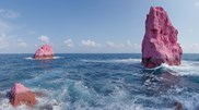 <![CDATA[ As imagens de "Paraíso. Hoje", o projeto que Portugal leva à Bienal de Veneza ]]>