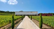 <![CDATA[ Um vinho para o fim de semana: Adegamãe e um Arinto de excelência ]]>