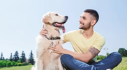 <![CDATA[ O seu fiel amigo não lhe obedece? Estas são as 6 formas de melhorar a comunicação com o seu patudo! ]]>