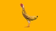 <![CDATA[ Bananas e galinhas? "Chicken Banana" é a nova obsessão do TikTok ]]>