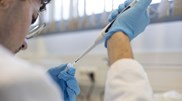 <![CDATA[ DGS apela ao rastreio do VIH e hepatites virais na Semana Europeia do Teste ]]>