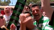 <![CDATA[ Cânticos e roupa verde e branca: Adeptos do Sporting aguardam vitória dos 'leões' ]]>