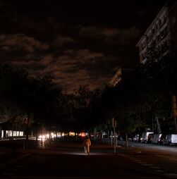 'Apagão', 'flotilha' e 'tarefeiro' entre finalistas da Palavra do Ano 2025