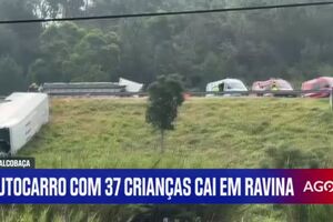 Autocarro escolar com 37 crianças cai em ravina na A8, em Alcobaça