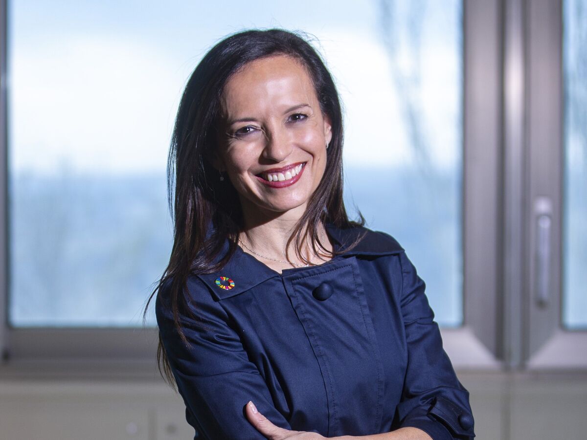 Caso do apagão. Pactos, opacidade e experiências