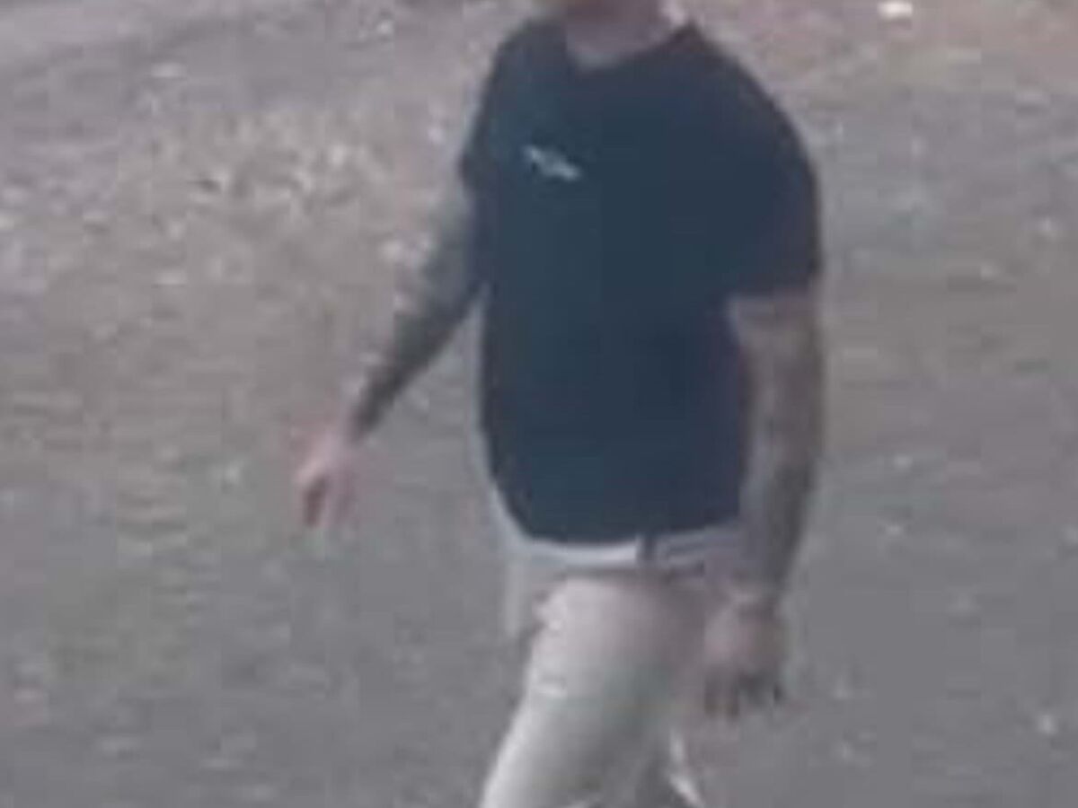 Os grupos nazis n'A Barraca