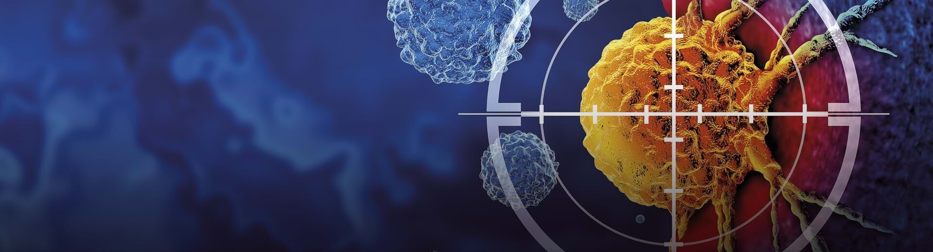 5 a 11 de junho de 2025