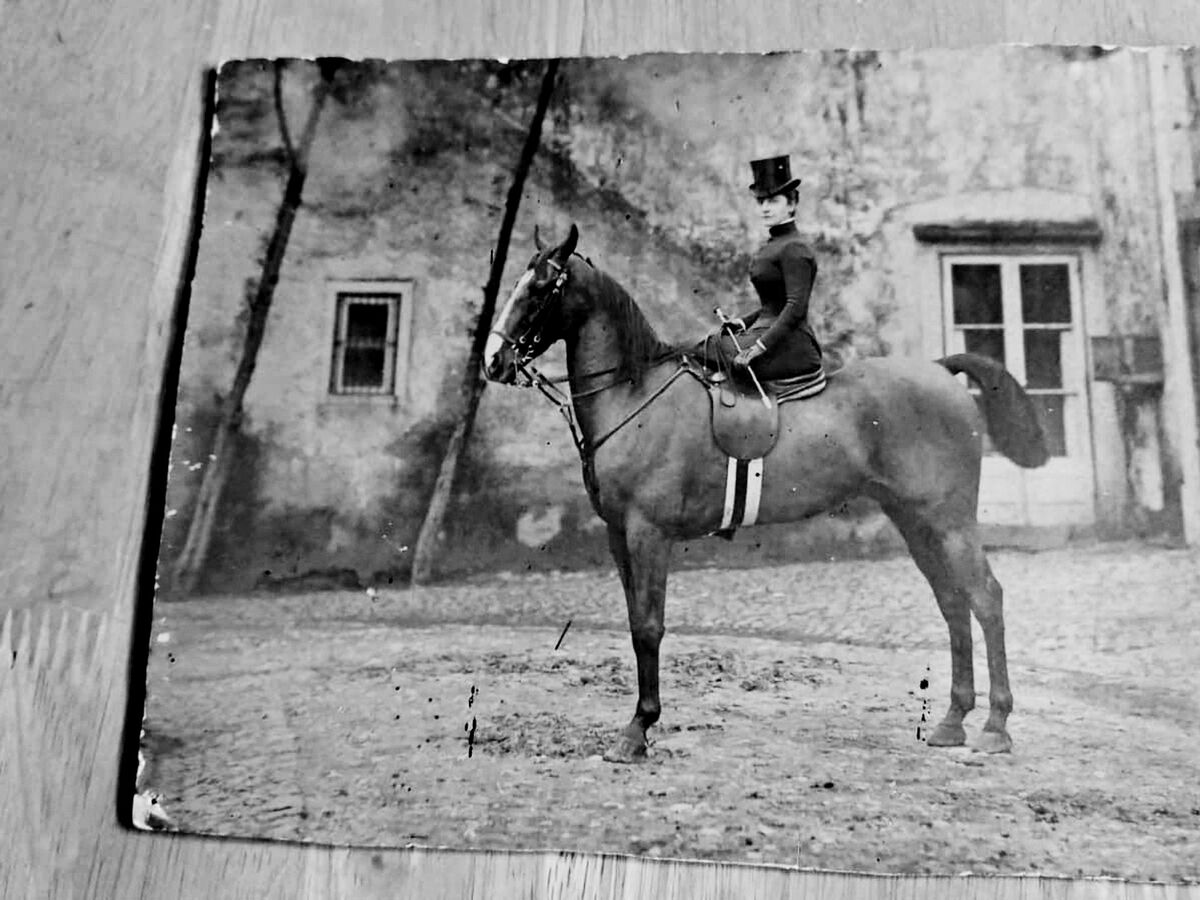 Os condes donos do Martim Moniz