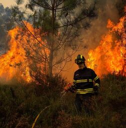 Interior norte e centro em perigo máximo de incêndio rural