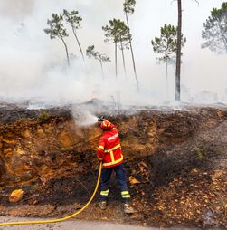 Incêndios: Sete meios aéreos e 135 operacionais combatem fogo em Sabrosa