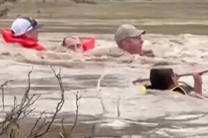 Vídeo capta resgate dramático de condutor preso na enxurrada durante cheias no Texas