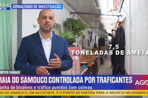 Canal NOW sempre a subir com melhor resultado de sempre este sábado