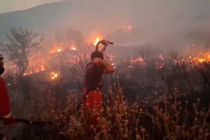 Albânia em chamas: incêndios devastam florestas e ameaçam casas em plena vaga de calor