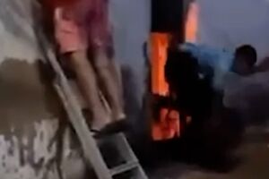Militar da GNR salva cão de casa em chamas no Alentejo