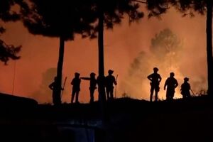 Bombeiros espanhóis continuam o combate às chamas em Cáceres e Ávila  