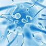 Procedimento pioneiro permite que crianças com cancro possam vir a ter filhos