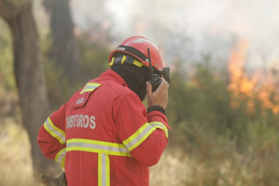 Bombeiros, incêndio xx
