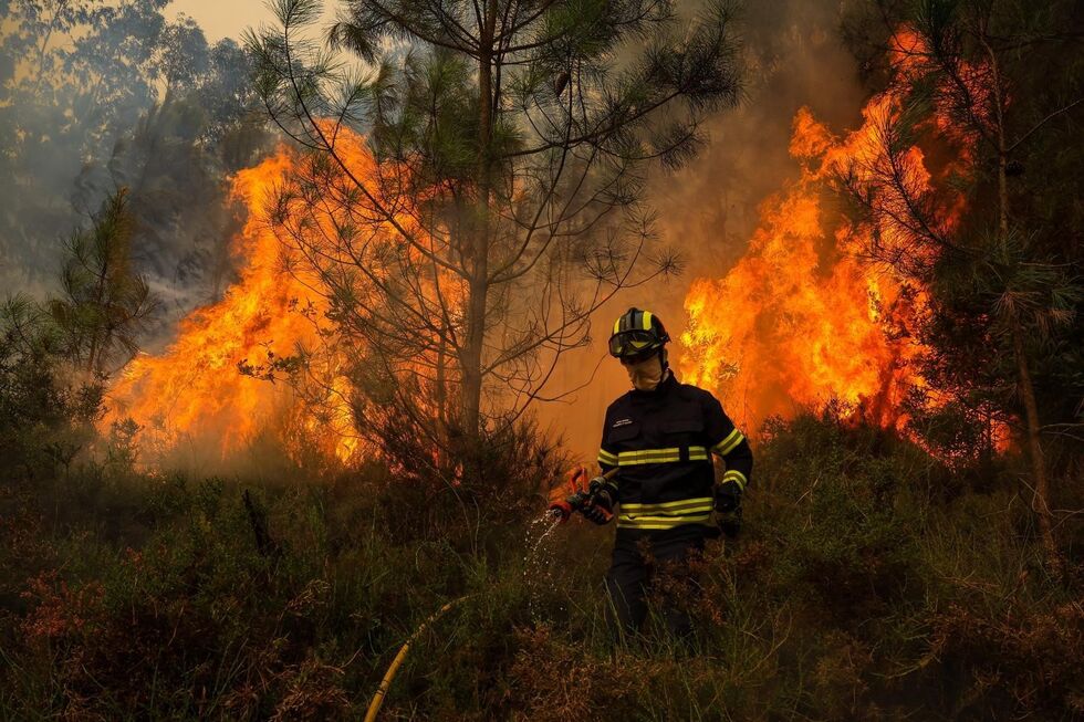 Homem detido em Penafiel por suspeita de atear incêndios em zona de mato