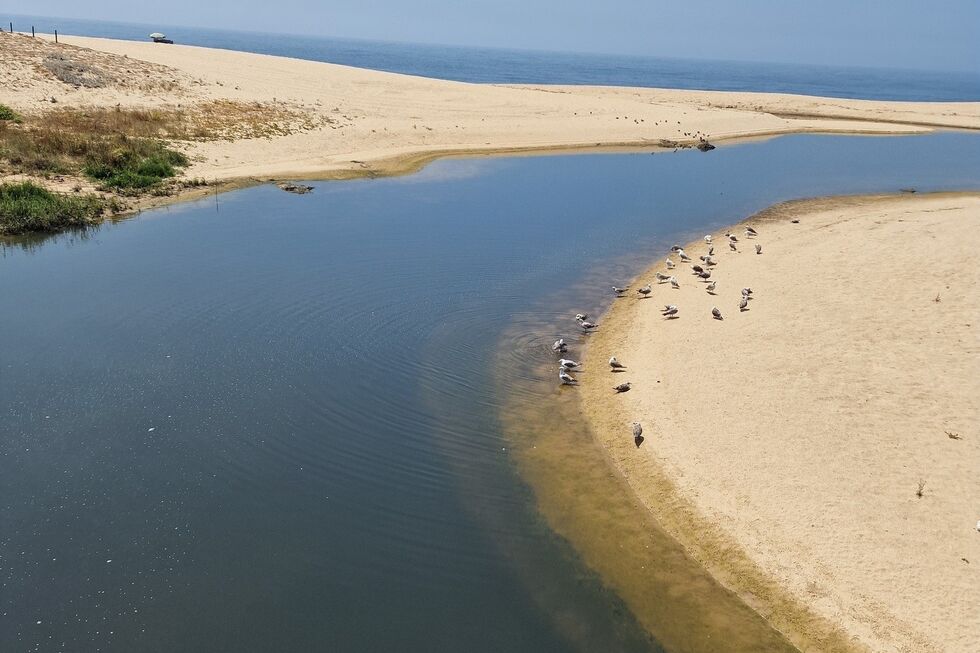 Poluição no rio Onda, Angeiras, ameaça saúde pública. Matosinhos exige ação