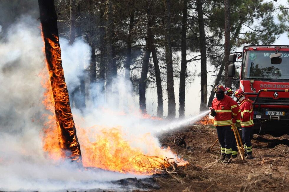 Incêndio em Sabrosa com 90% do perímetro controlado. Vão continuar no terreno mais de 280 operacionais